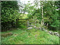 Stile and gate on Hebden Royd FP89