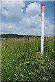 SO6348 : Gas pipeline marker by Philip Halling