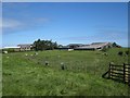 Bowsden Moor Farm