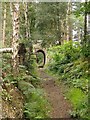 Bridleway with arch, Briary Hill, Dick Focks Common