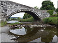 One arch of Pont Fawr