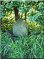 Ancient milestone beside the A41