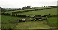 Farmland near Wikefield Farm