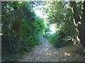 Bridleway leading off Lower Bloors Lane