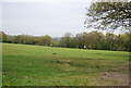 Farmland south of Hilders Lane