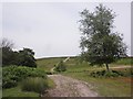 Track near Crowcombe Park Gate