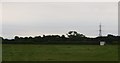 Grass field, Crumleyheath