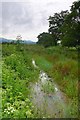 Morfa ger Plas Talgarth / Marshland near Plas Talgarth