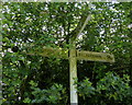 Overgrown sign along Thornton Lane