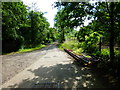 Beside the tracks near Witley Station