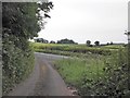 ST1739 : Hack Lane joins the A39, near Nether Stowey by Roger Cornfoot