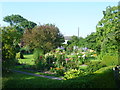 The garden of Wey Street Farm