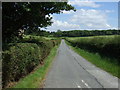 Road towards Swallow Vale Farm