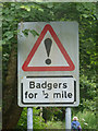 Road sign, Borrowdale Road