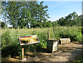 The Hay Meadow