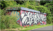 J3470 : Graffiti, Lagan towpath, Stranmillis, Belfast (July 2014) by Albert Bridge