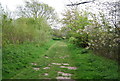 Royal Military Canal Path