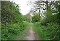 Royal Military Canal Path