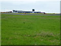 Perimeter grass at Leeds Bradford Airport