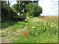 Public footpath to Willow Farm