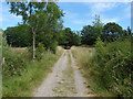 Oaken Wood entrance track