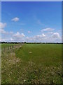 Pastureland Near Clerkston