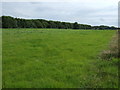 Farmland and woodland