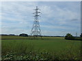 Farmland and pylon, Laceby Acres