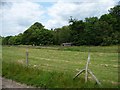 SU8529 : Mown hayfield south of Barn Field Plantation by Christine Johnstone
