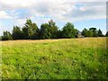 Hay Barn Field (1)