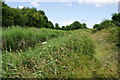 Path by the River Hayle