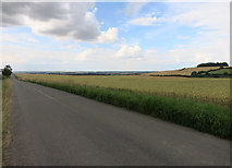 TL4239 : Field by New Road by Hugh Venables