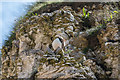 TA2372 : Puffins (Fratercula arctica), North Landing, Yorkshire by Christine Matthews
