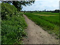 Farmland near Leicester Forest East