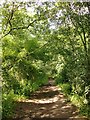 Bridleway by Ermine Street, north of Lord Street