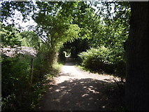 TM0321 : Path to near East Donyland by Hamish Griffin