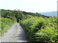 Moretonhampstead: lane above Pepperdon