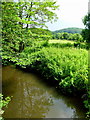 Cradley Brook at Mathon