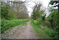 Royal Military Canal Path