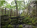 NY2721 : Footbridge over Cat Gill, Borrowdale by Jim Osley