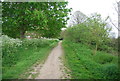 Royal Military Canal Path