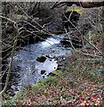 Nant Cwm-parc issues from a culvert, Cwmparc