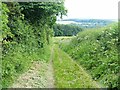 Border Abbeys Way at Dalcove