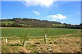 Towards Greenfield Copse