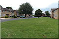 Greenery in Wrekin Road, Bridgnorth