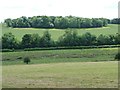 Sheepbridge Copse and the River Meon