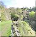 Old railway trackbed, Clydach Gorge