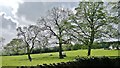 Field by Stubbings Court Home Farm