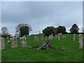 St. Mary, East Morden: churchyard (P)