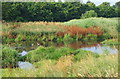 Valley Road Park Flood Plain, Nottingham NG5